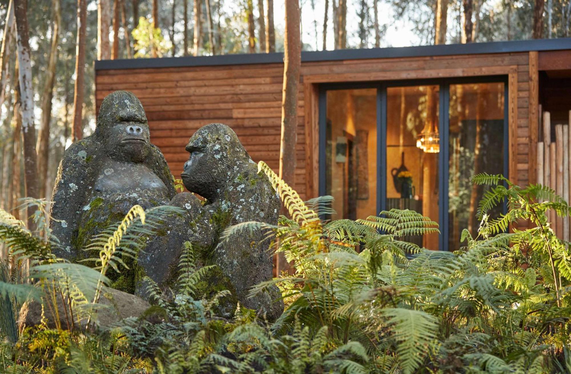 One&Only Gorilla'S Nest Hotel Kinigi Exterior photo