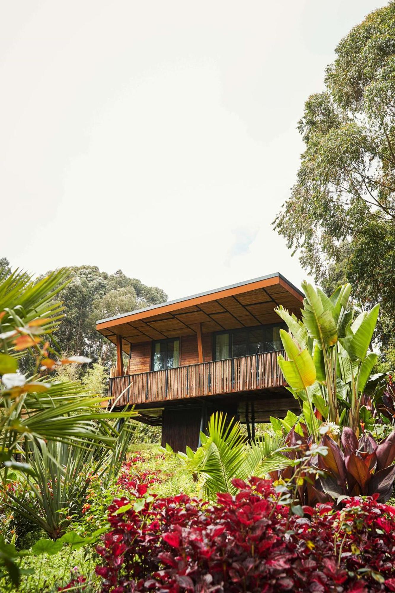 One&Only Gorilla'S Nest Hotel Kinigi Exterior photo