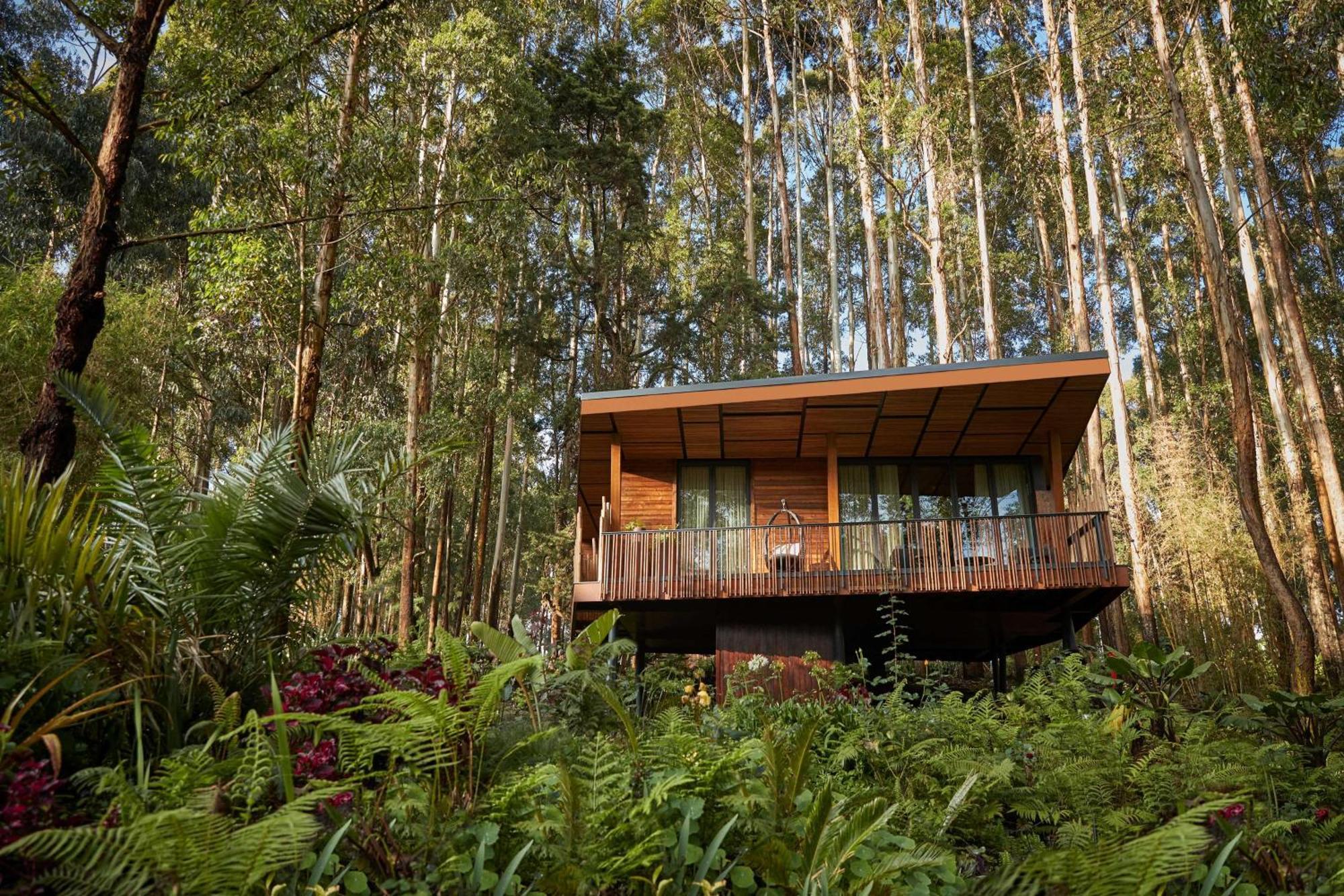 One&Only Gorilla'S Nest Hotel Kinigi Exterior photo